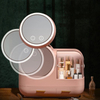 Portable Makeup Organizer with Mirror and LED Light Fan