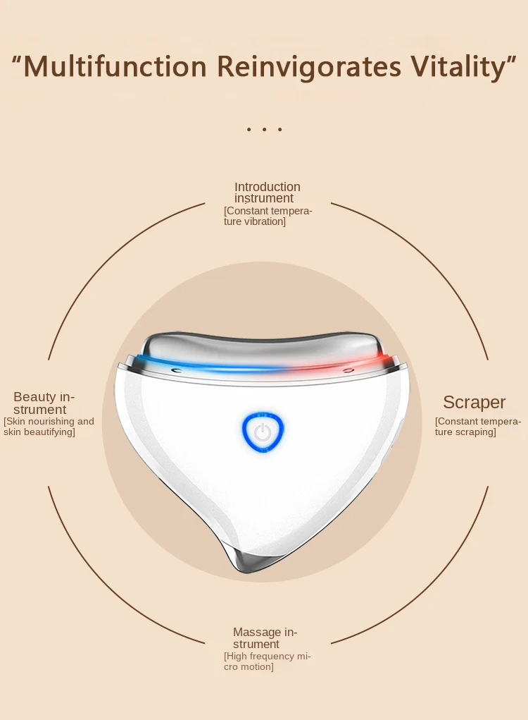 Electric Facial Massager (2)
