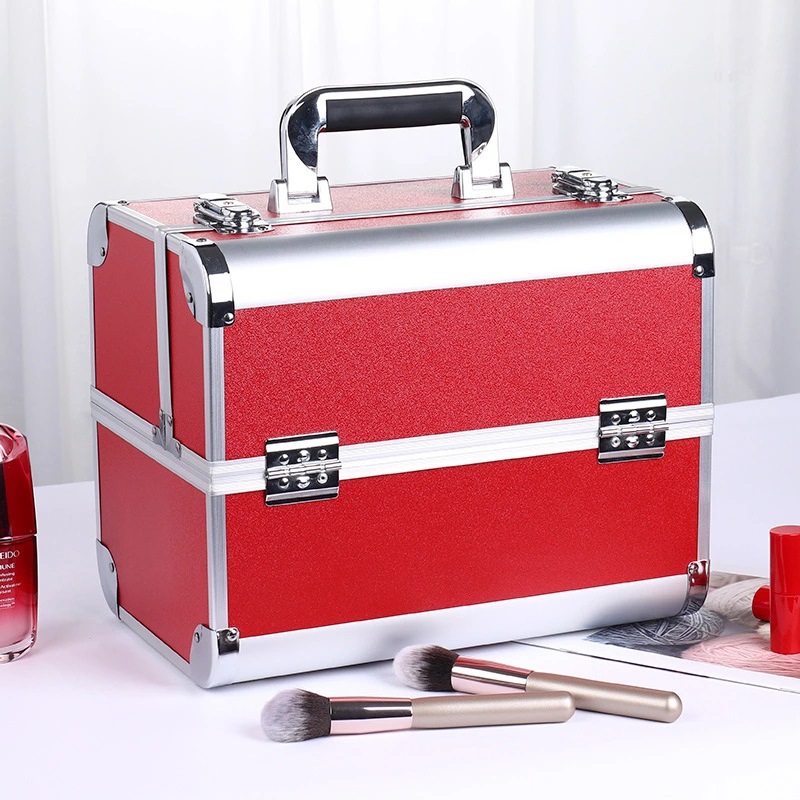 Professional cosmetic case (8)