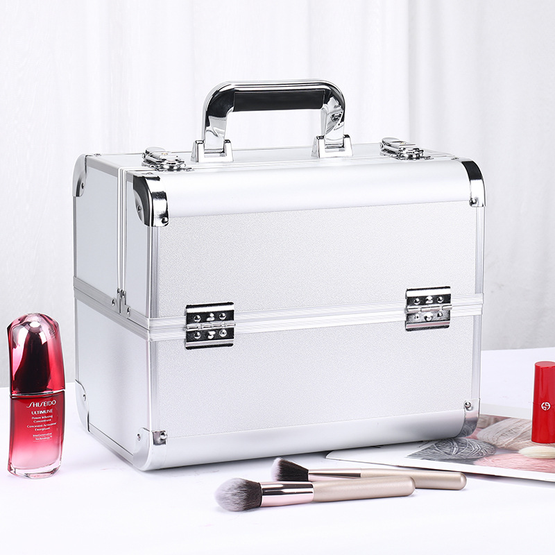 Professional cosmetic case (11)