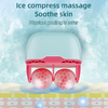 Mini 2 in 1 Double Head Ice Roller for Face Massage