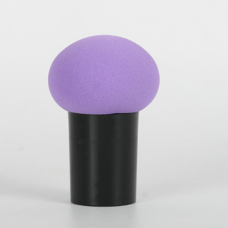 beauty blender (23)