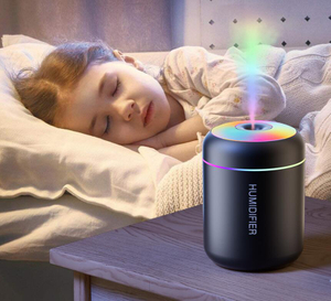 Home Car Colorful Light USB Mini Humidifier