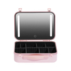 Portable Professional Make-up Kit Cosmetic Organizer with Mirror and Lights