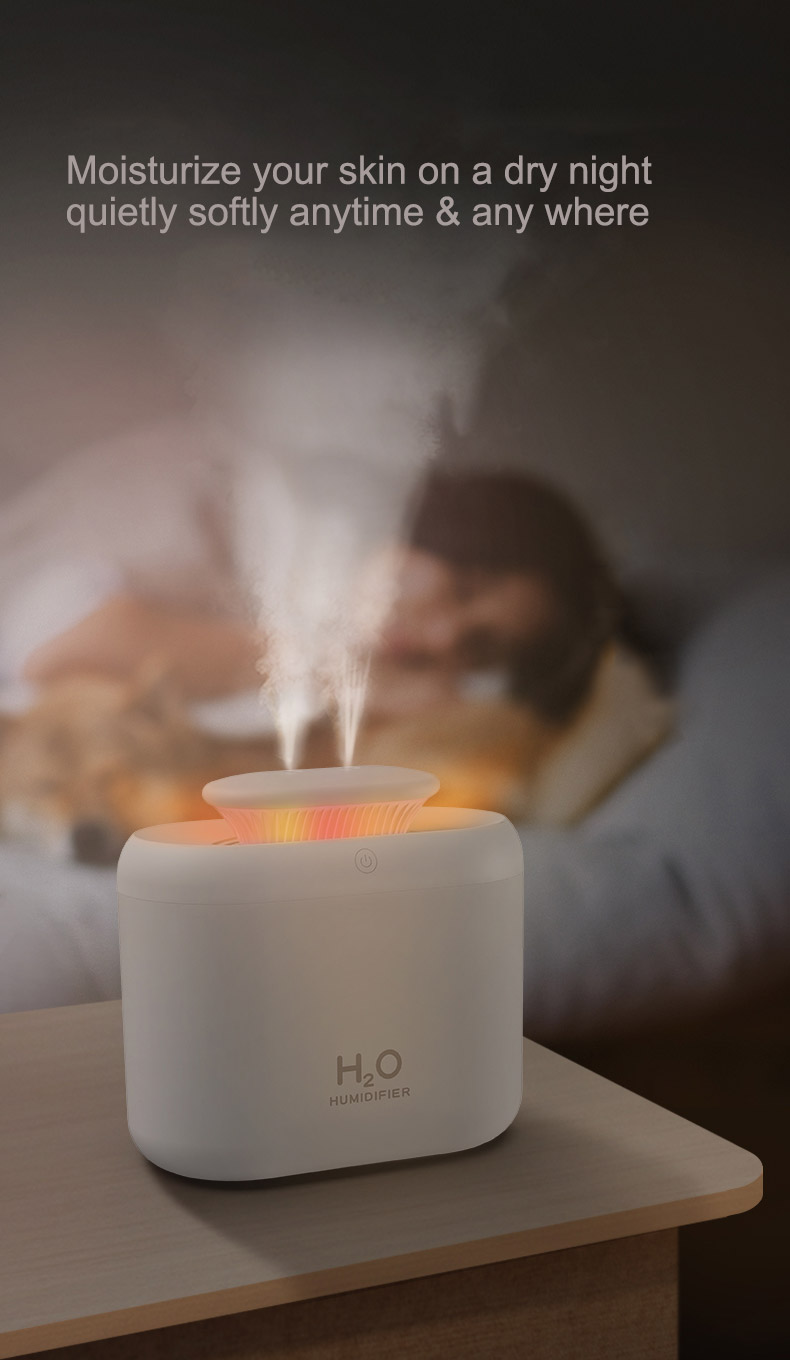 Air Humidifier (11)