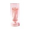 5PCS Mini Makeup Tools Makeup Cosmetic Brush Set