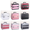 Wholesale Retail Aluminum Professional Cosmetic Case Nail Art Tool Box