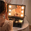 Handheld Portable Cosmetic Case Organizer with Mirror and Lights