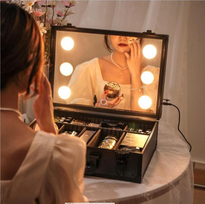 Handheld Portable Cosmetic Case Organizer with Mirror and Lights