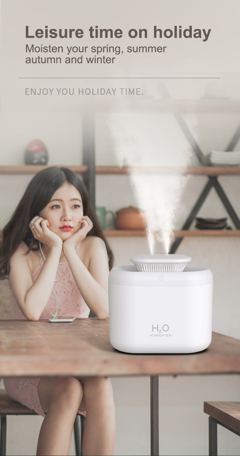 Air Humidifier (8)