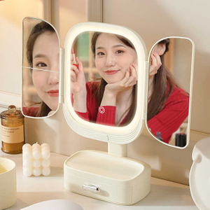 Cosmetic Storage Box For Women Makeup With Adjustable Ambient Light And Mirror