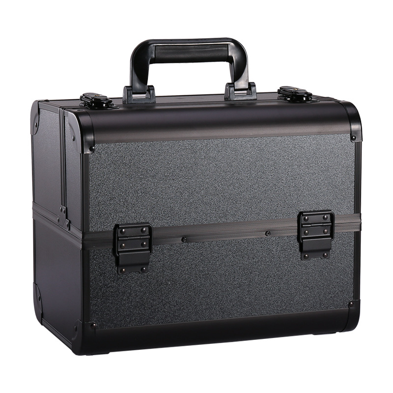 Professional cosmetic case (1)