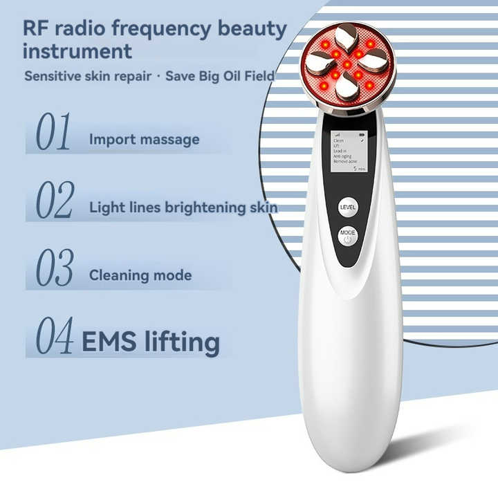 Home EMS Introducer Micro-current Red Blue Light Beauty Device 