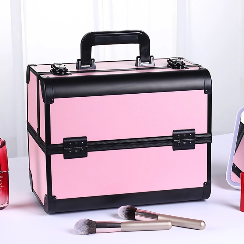 Professional cosmetic case (10)